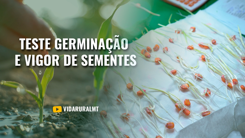 TESTE DE VIGOR E GERMINAÇÃO NAS CULTURAS DE SEGUNDA SAFRA